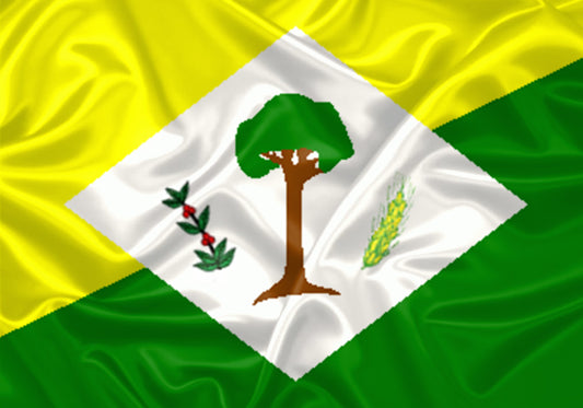 Imagem da Bandeira Senador Guiomard