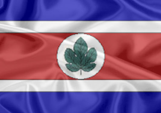 Imagem da Bandeira Taquarituba