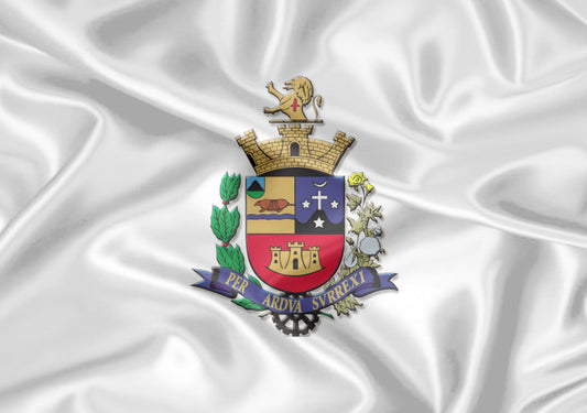 Imagem da Bandeira Tatuí