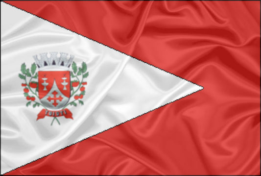 Imagem da Bandeira Tuiuti