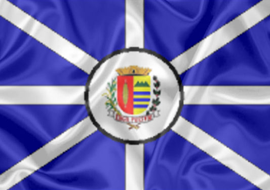 Imagem da Bandeira Vargem Grande do Sul