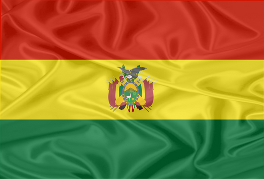 Imagem da Bandeira Bolívia