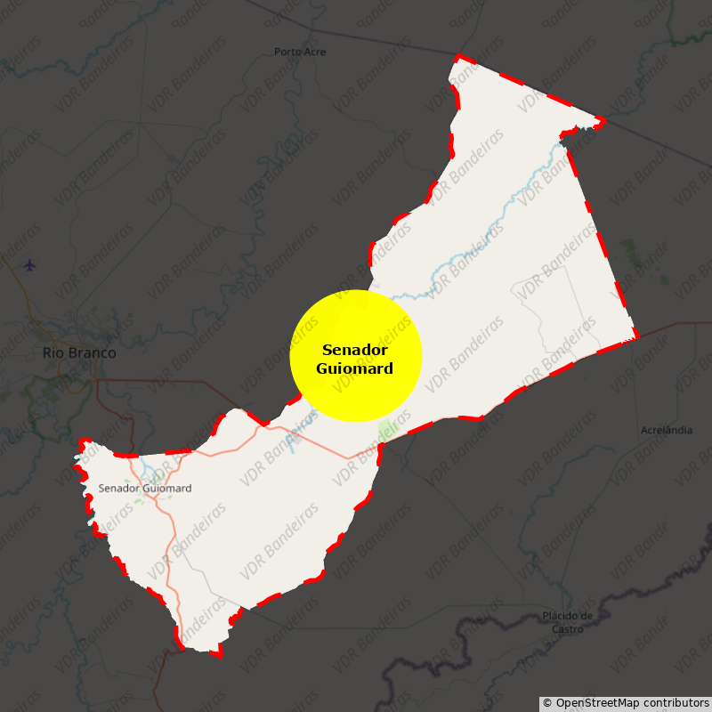 Imagem da Bandeira Senador Guiomard