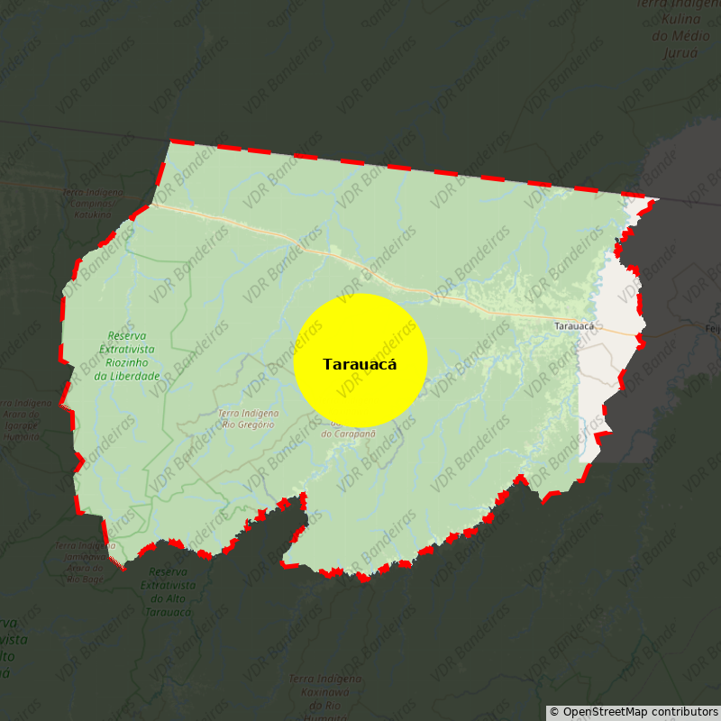 Imagem da Bandeira Tarauacá
