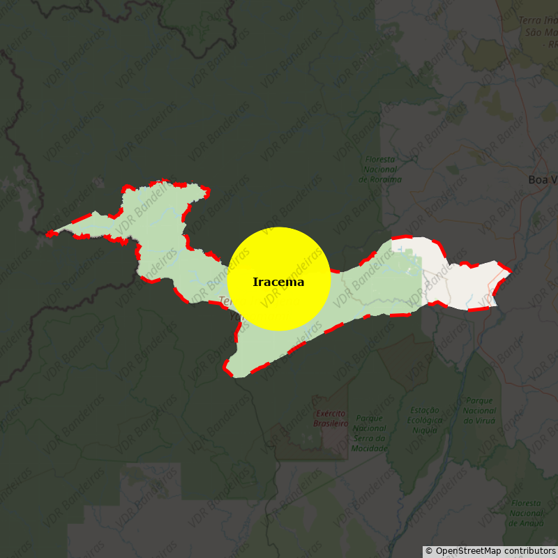 Imagem da Bandeira Iracema