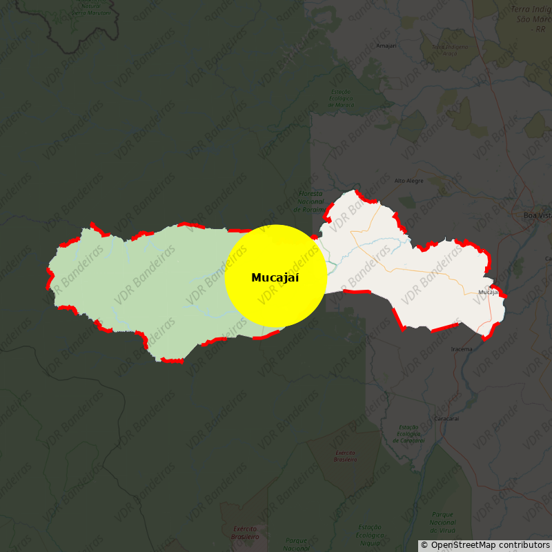 Imagem da Bandeira Mucajaí