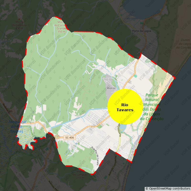 Imagem da Bandeira Rio Tavares