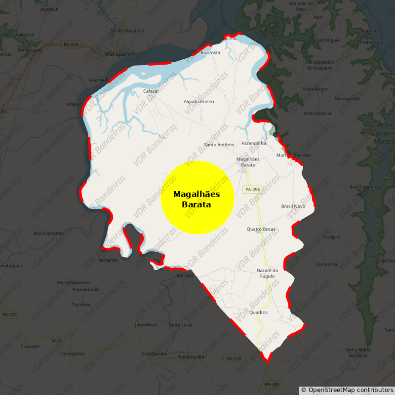 Imagem da Bandeira Magalhães Barata