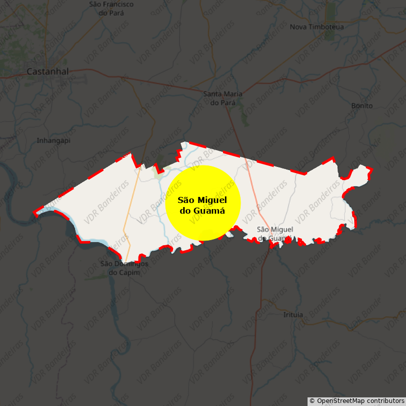 Imagem da Bandeira São Miguel do Guamá