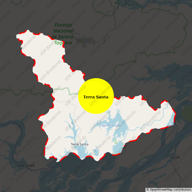 Imagem da Bandeira Terra Santa