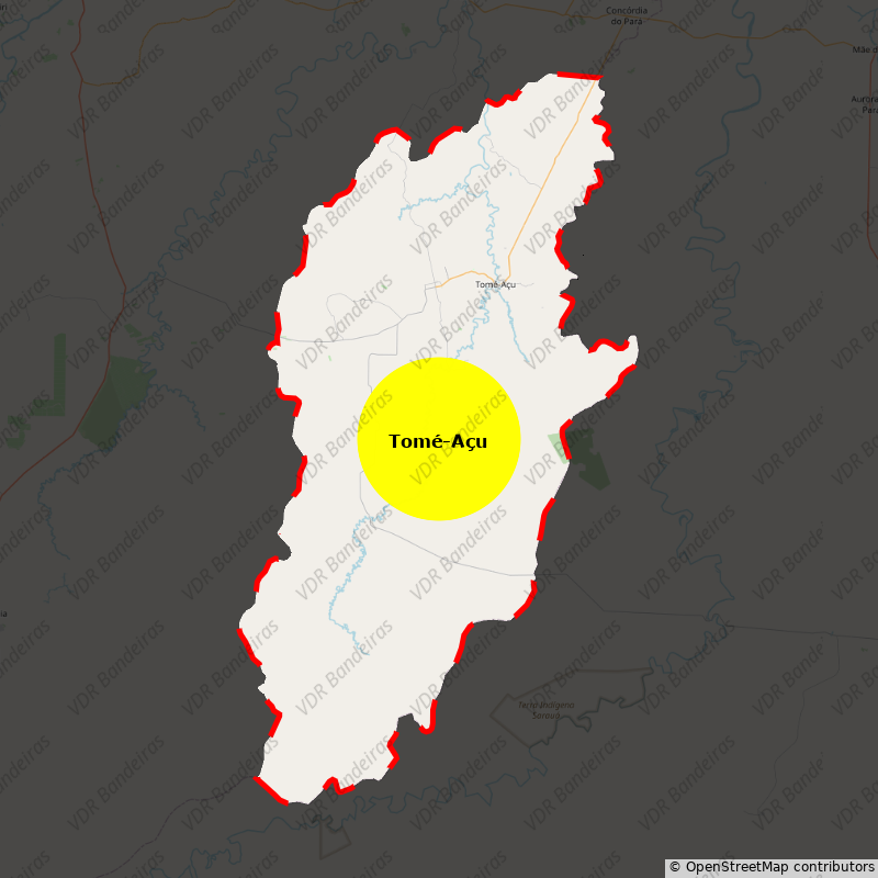 Imagem da Bandeira Tomé-Açu