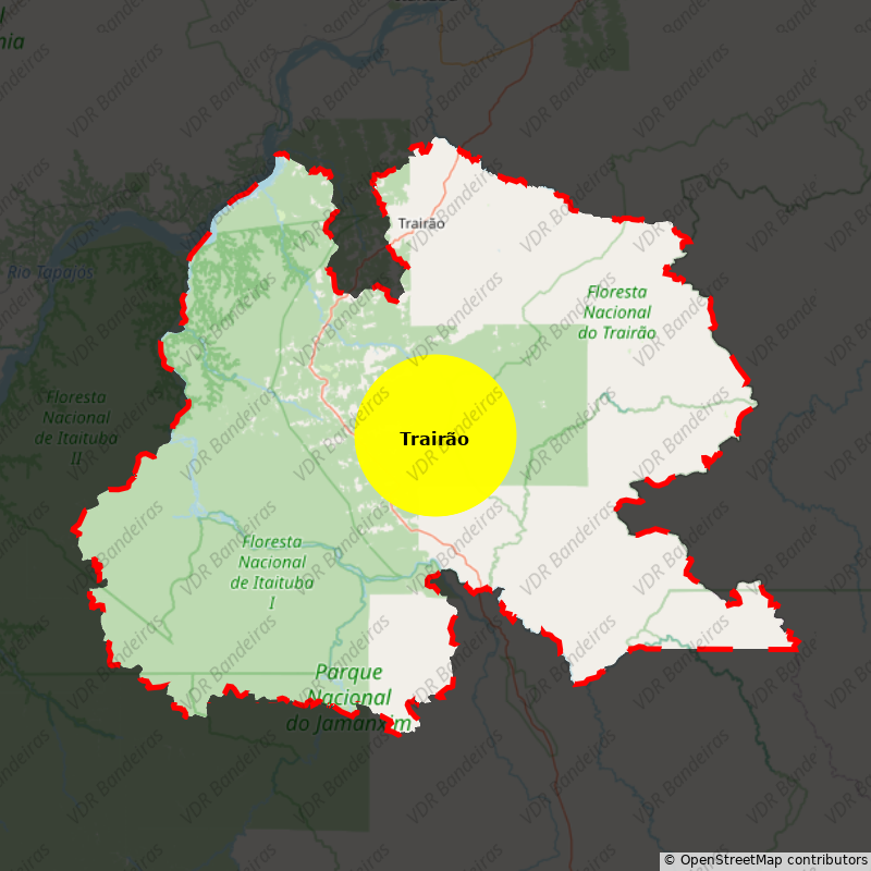 Imagem da Bandeira Trairão