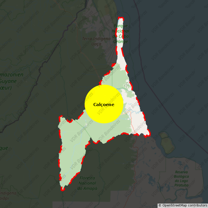 Imagem da Bandeira Calçoene