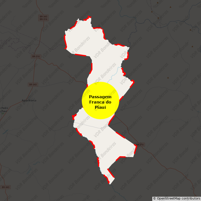 Imagem da Bandeira Passagem Franca do Piauí
