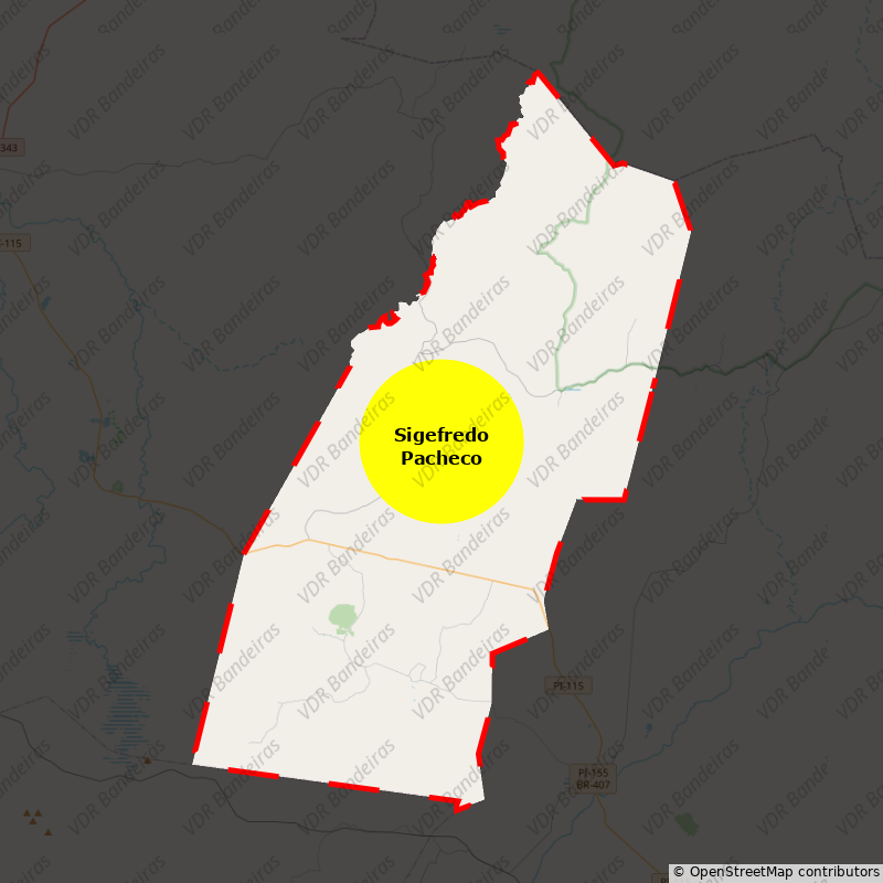 Imagem da Bandeira Sigefredo Pacheco