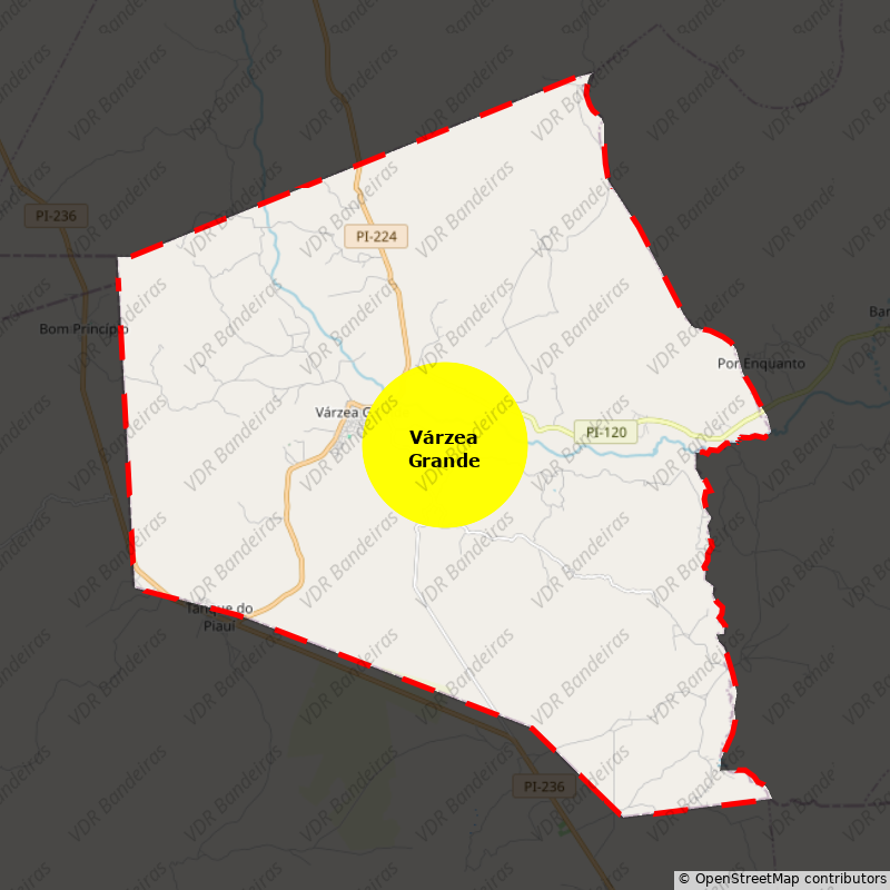 Imagem da Bandeira Várzea Grande