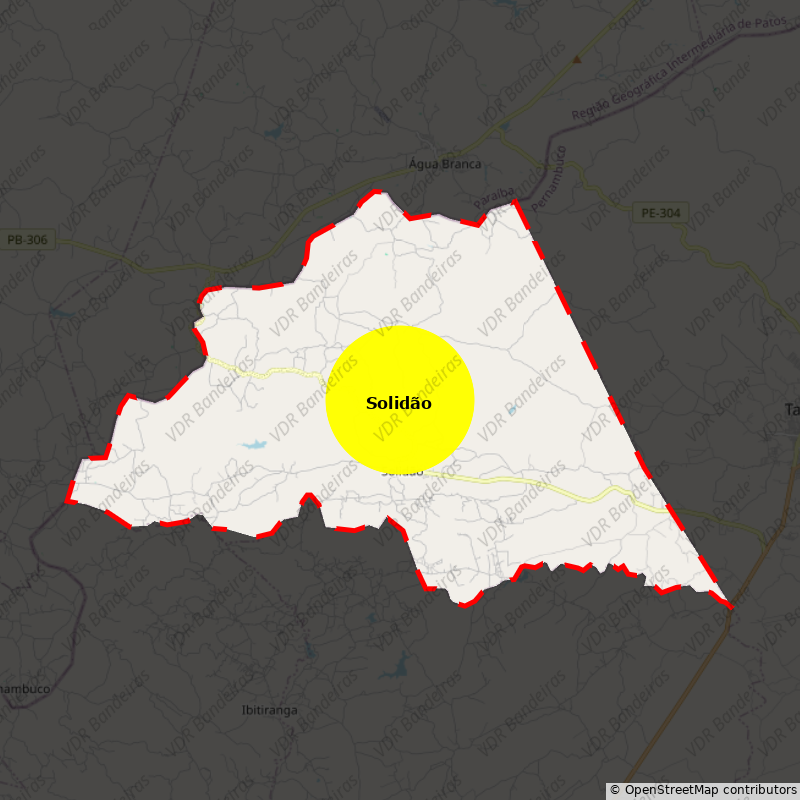 Imagem da Bandeira Solidão