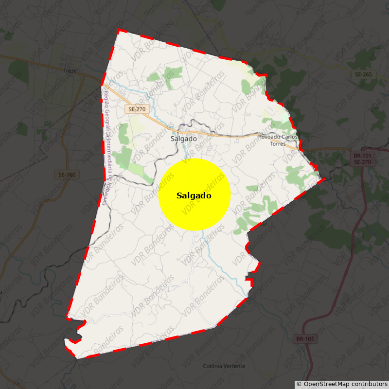 Imagem da Bandeira Salgado