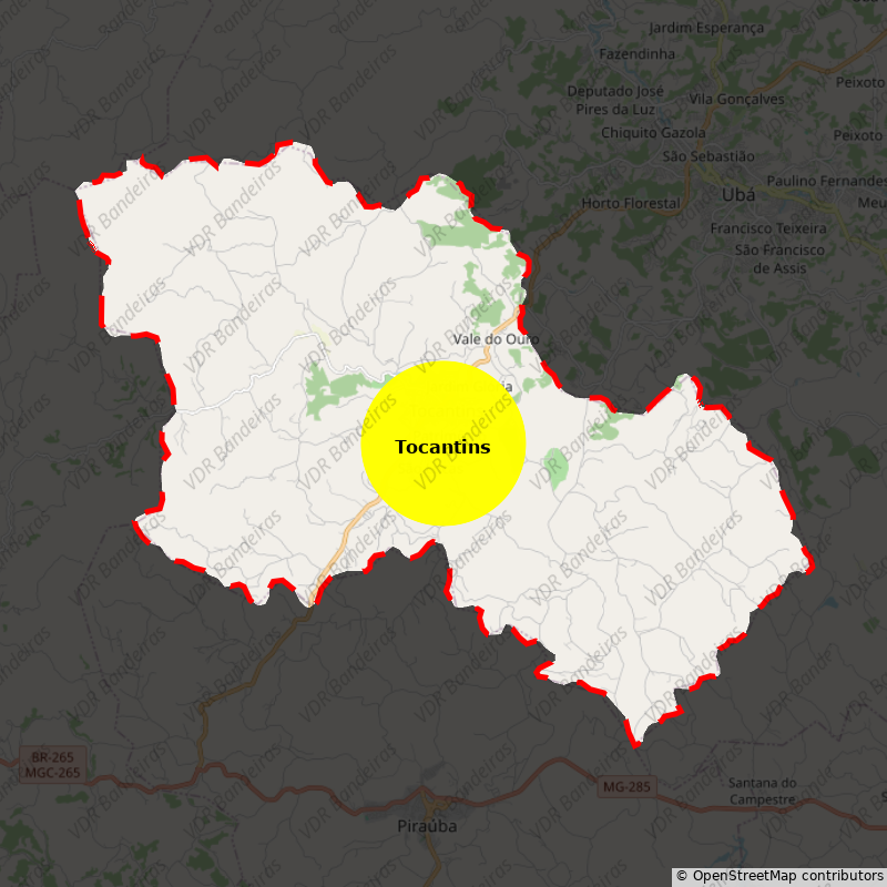 Imagem da Bandeira Tocantins