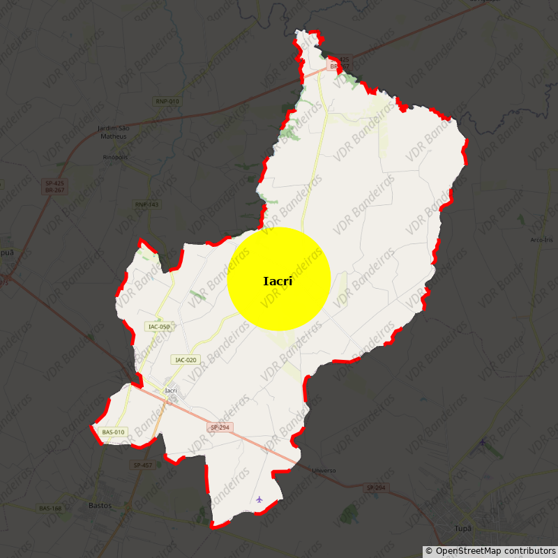 Imagem da Bandeira Iacri