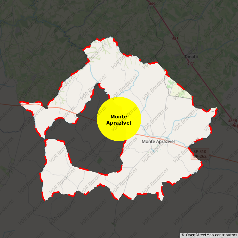 Imagem da Bandeira Monte Aprazível