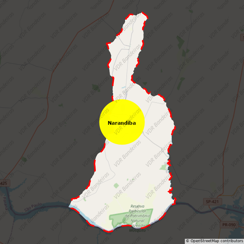 Imagem da Bandeira Narandiba