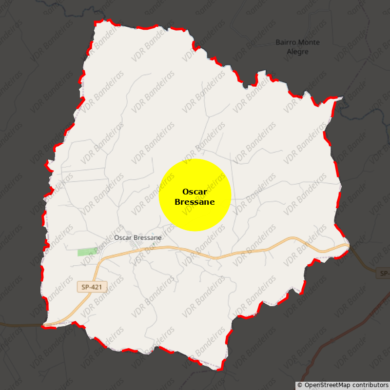 Imagem da Bandeira Oscar Bressane