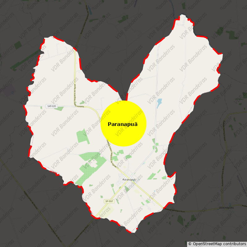 Imagem da Bandeira Paranapuã