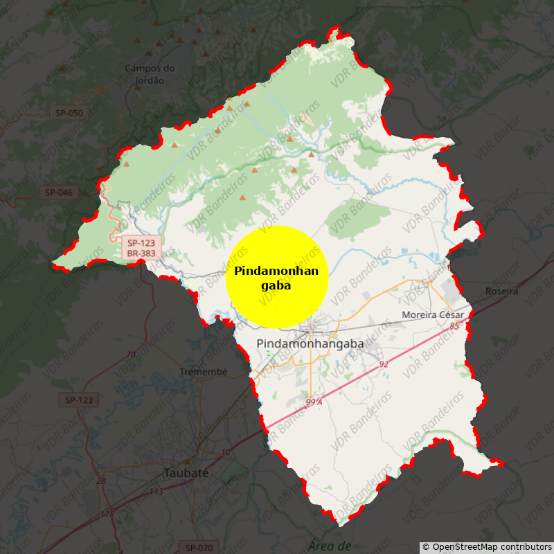 Imagem da Bandeira Pindamonhangaba