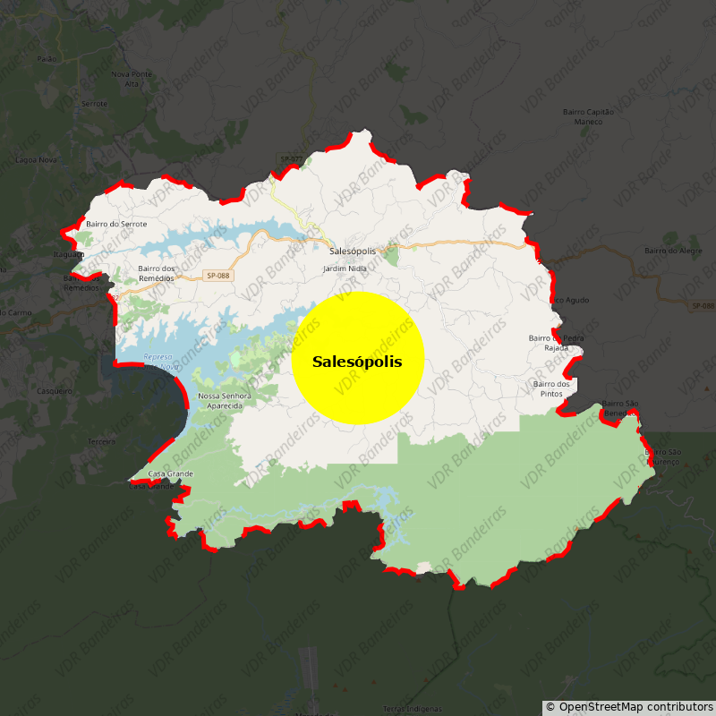 Imagem da Bandeira Salesópolis