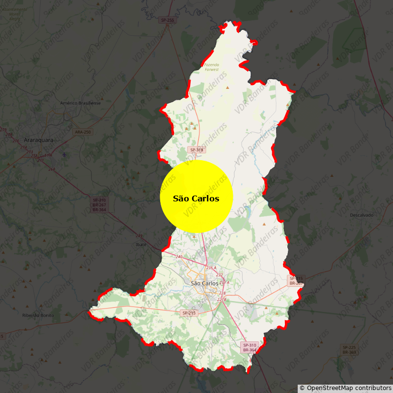 Imagem da Bandeira São Carlos