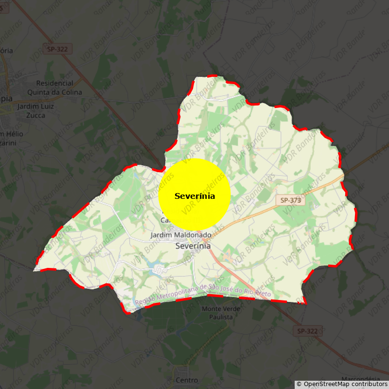 Imagem da Bandeira Severínia