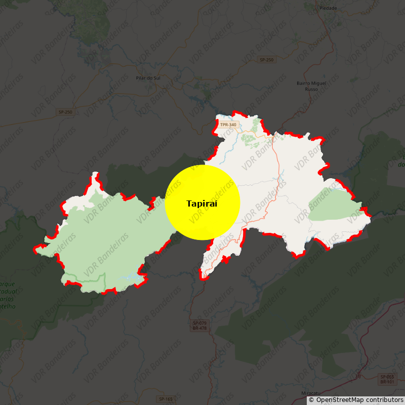 Imagem da Bandeira Tapiraí