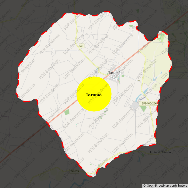 Imagem da Bandeira Tarumã