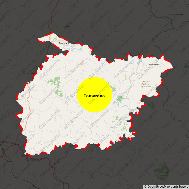 Imagem da Bandeira Tamarana