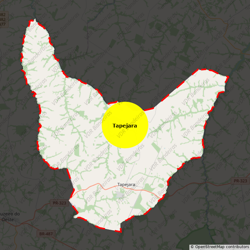 Imagem da Bandeira Tapejara