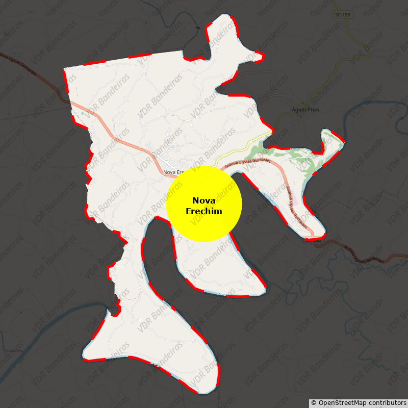 Imagem da Bandeira Nova Erechim