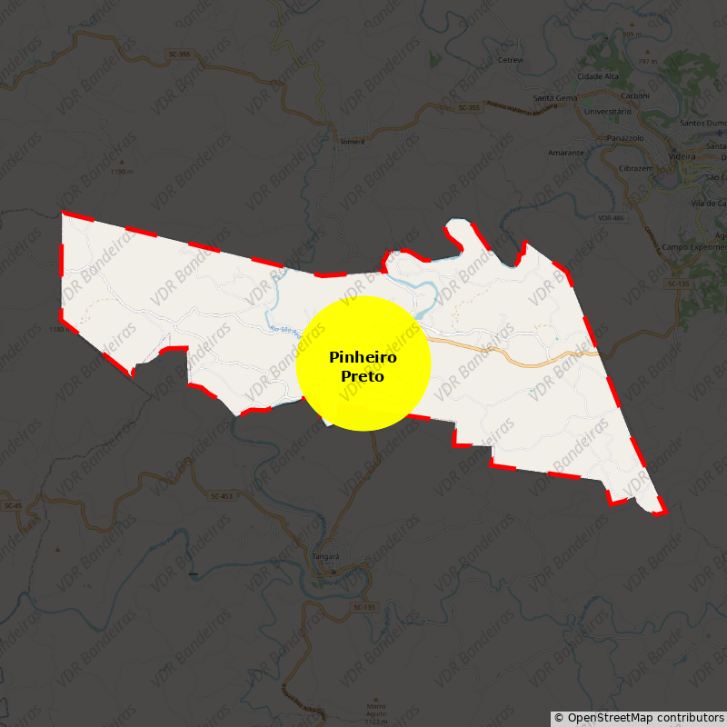 Imagem da Bandeira Pinheiro Preto