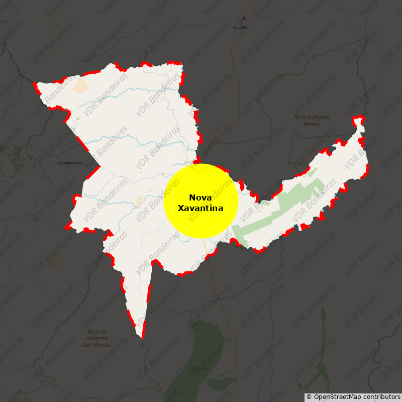 Imagem da Bandeira Nova Xavantina