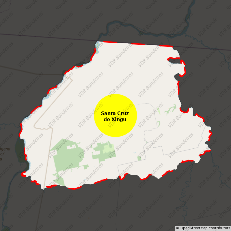 Imagem da Bandeira Santa Cruz do Xingu