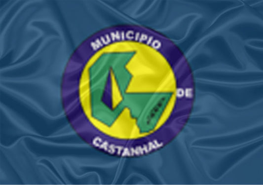 Imagem da Bandeira Castanhal