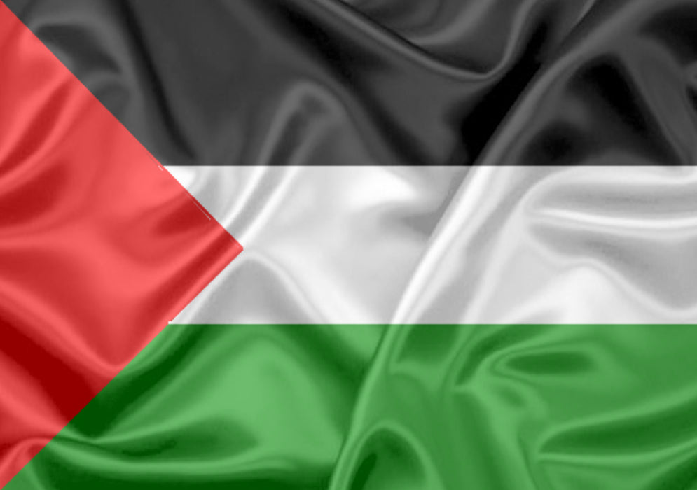 Imagem da Bandeira Palestina