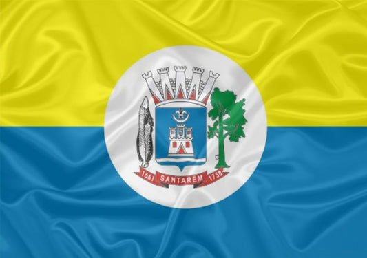 Imagem da Bandeira Santarém