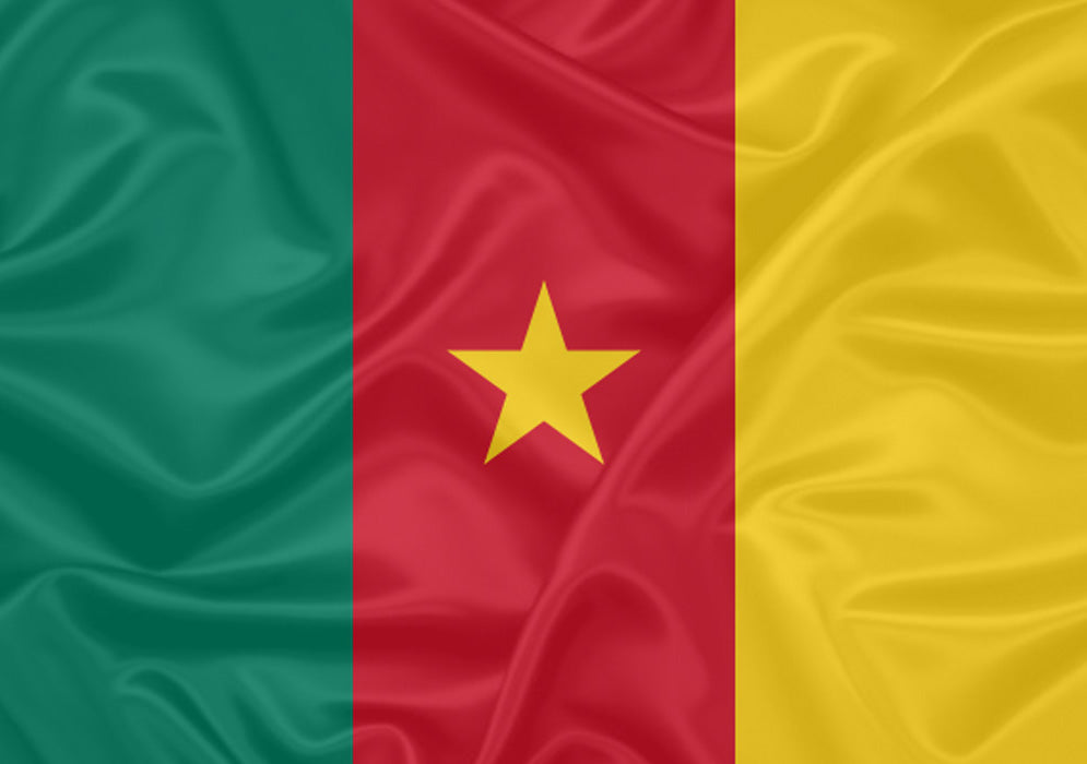 Imagem da Bandeira Camarões