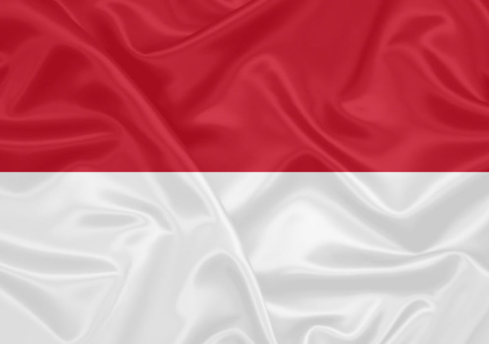 Imagem da Bandeira Indonésia