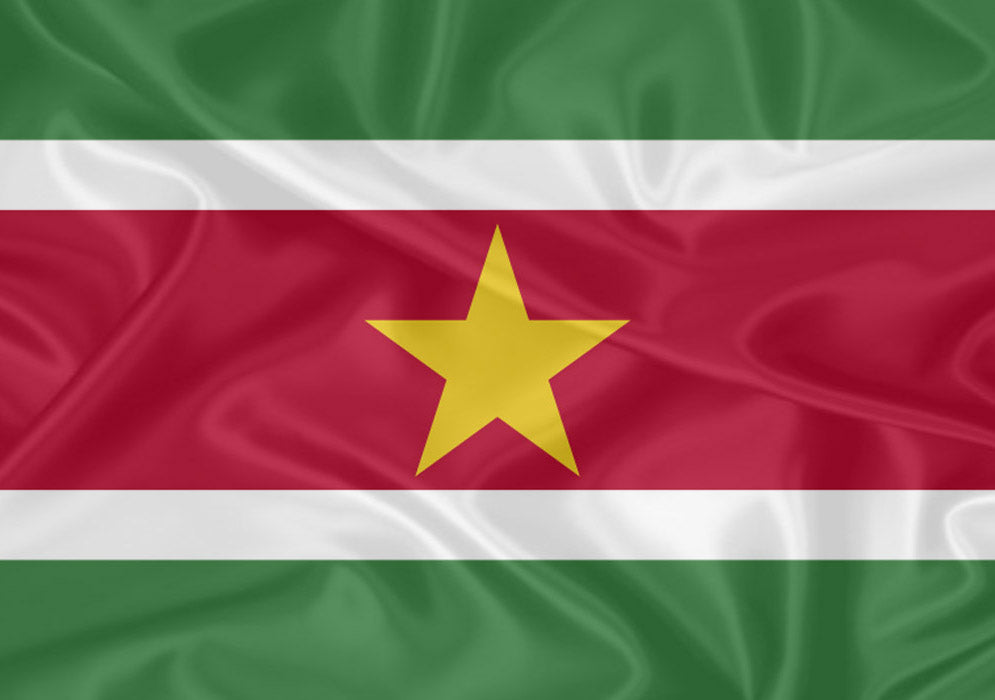 Imagem da Bandeira Suriname