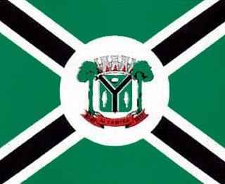 Imagem da Bandeira Altamira