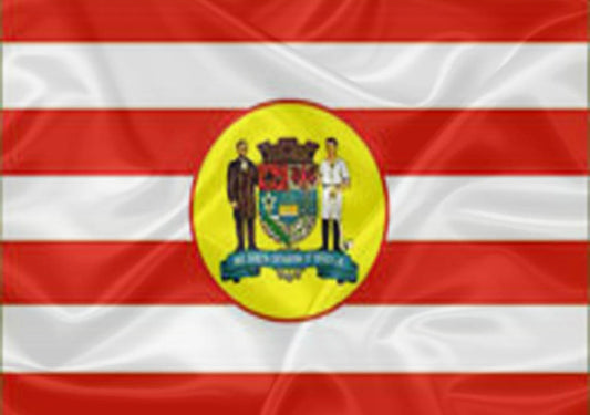 Imagem da Bandeira Blumenau