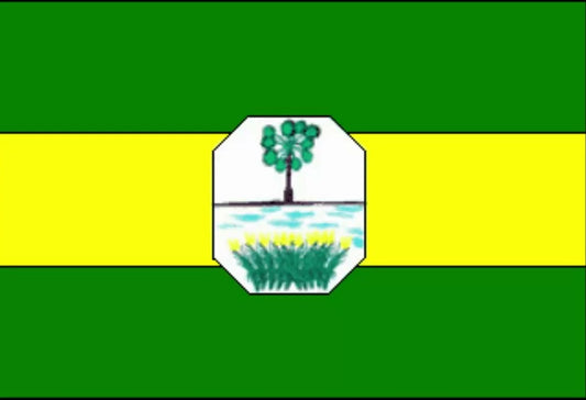 Buriti dos Lopes - PI