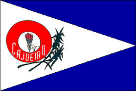 Imagem da Bandeira Cajueiro